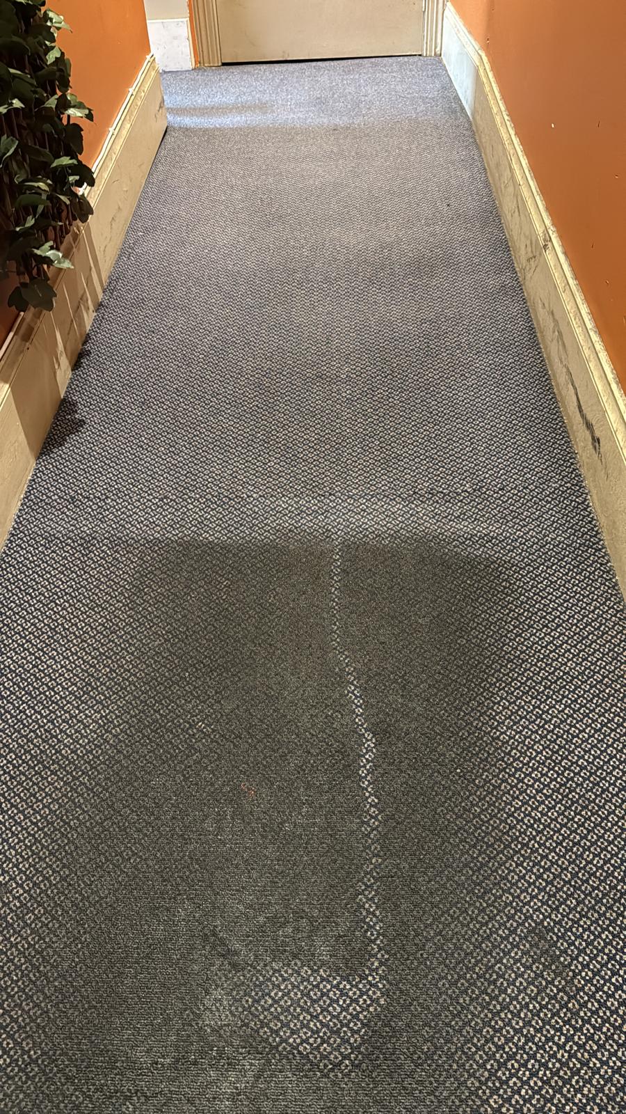 Fresh carpet finish after extraction cleaning