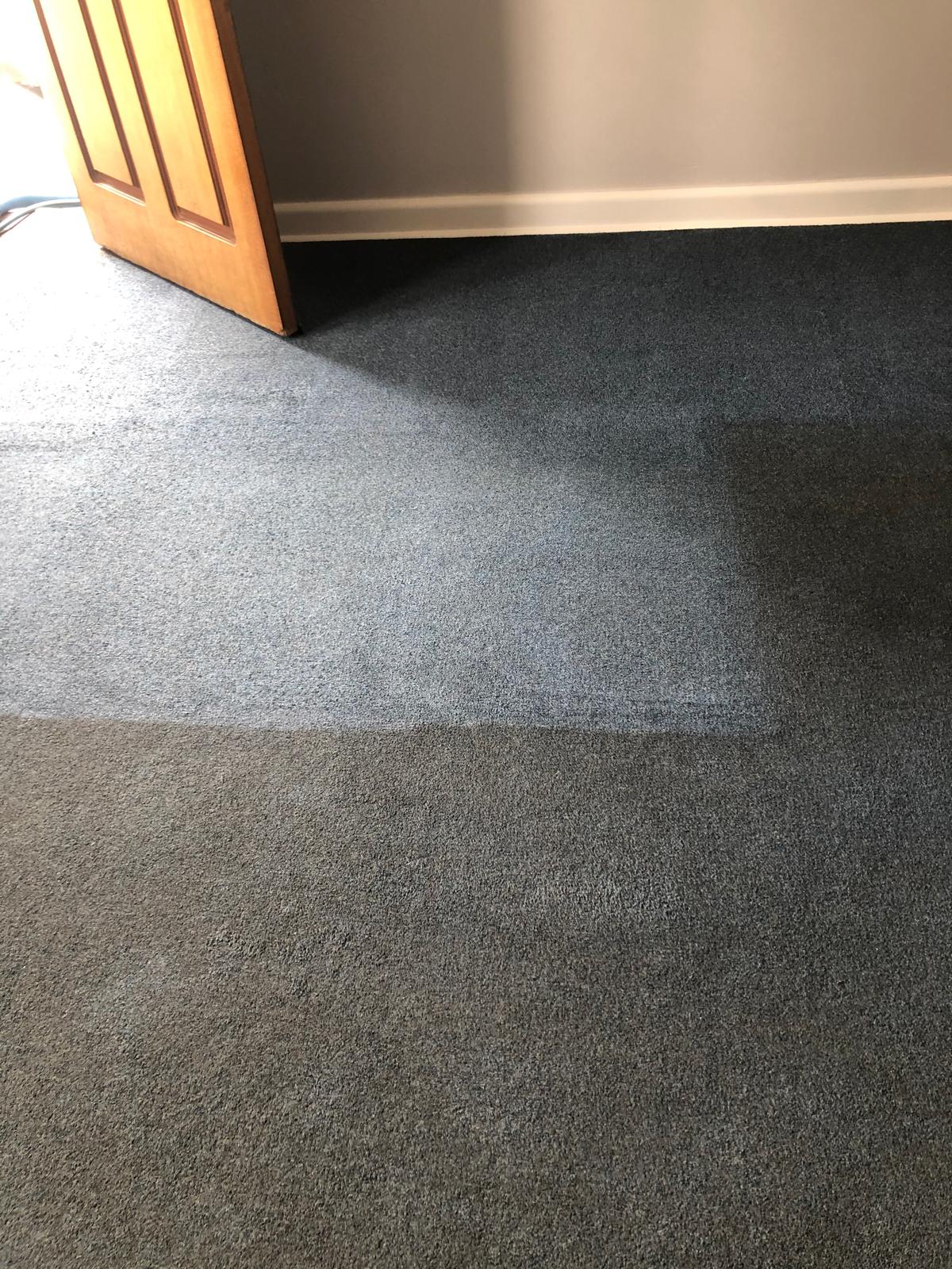 Professional carpet cleaning result