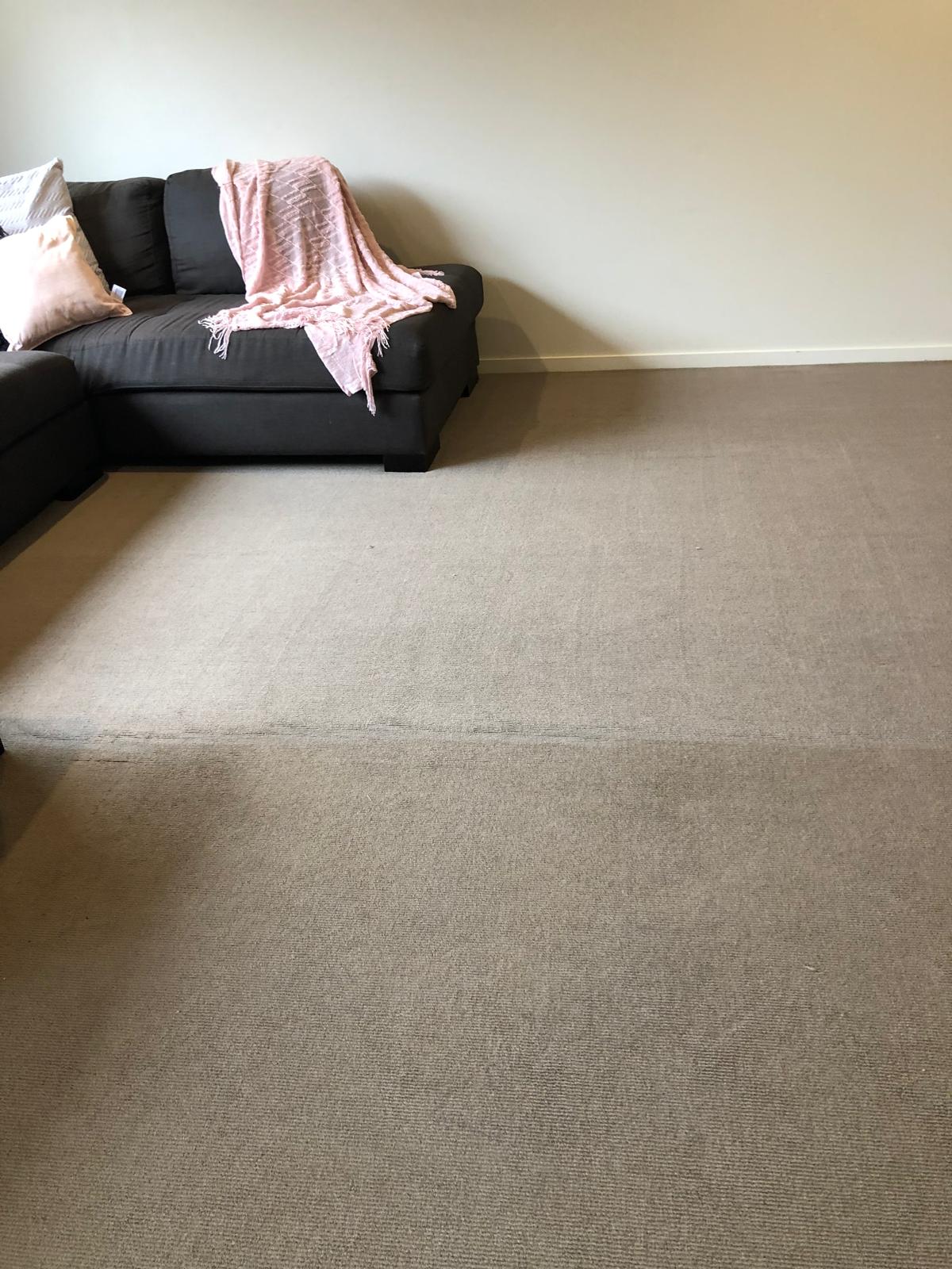Fresh carpet finish after extraction cleaning
