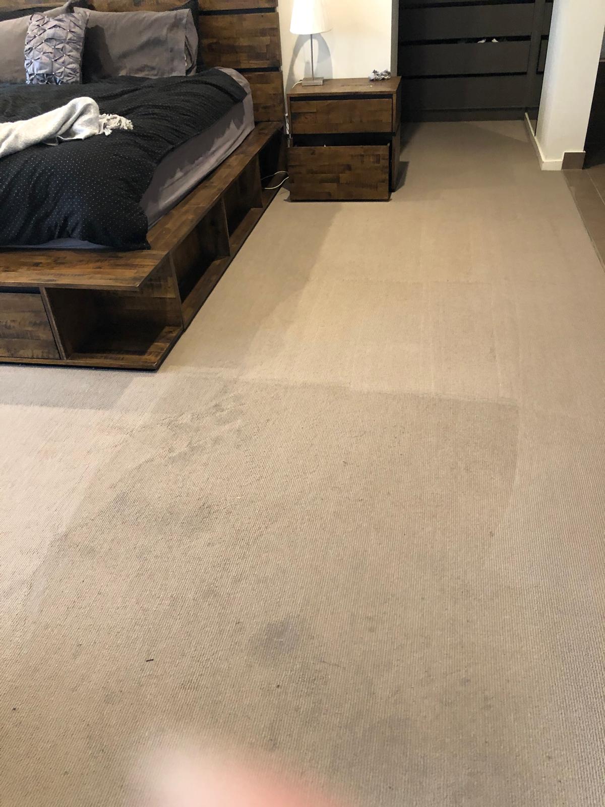 Freshly extracted carpet from a PCC job
