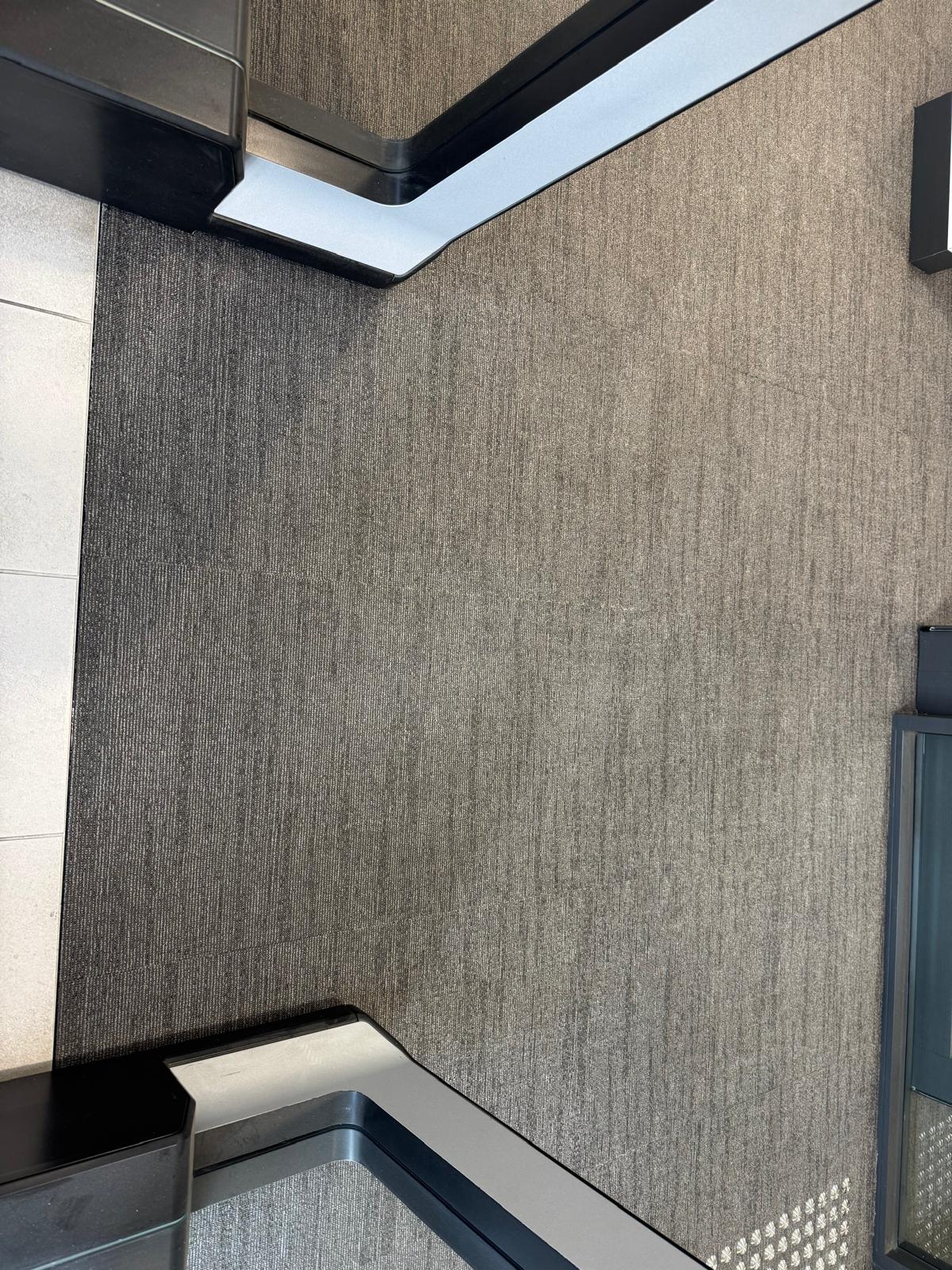 Professional carpet cleaning result