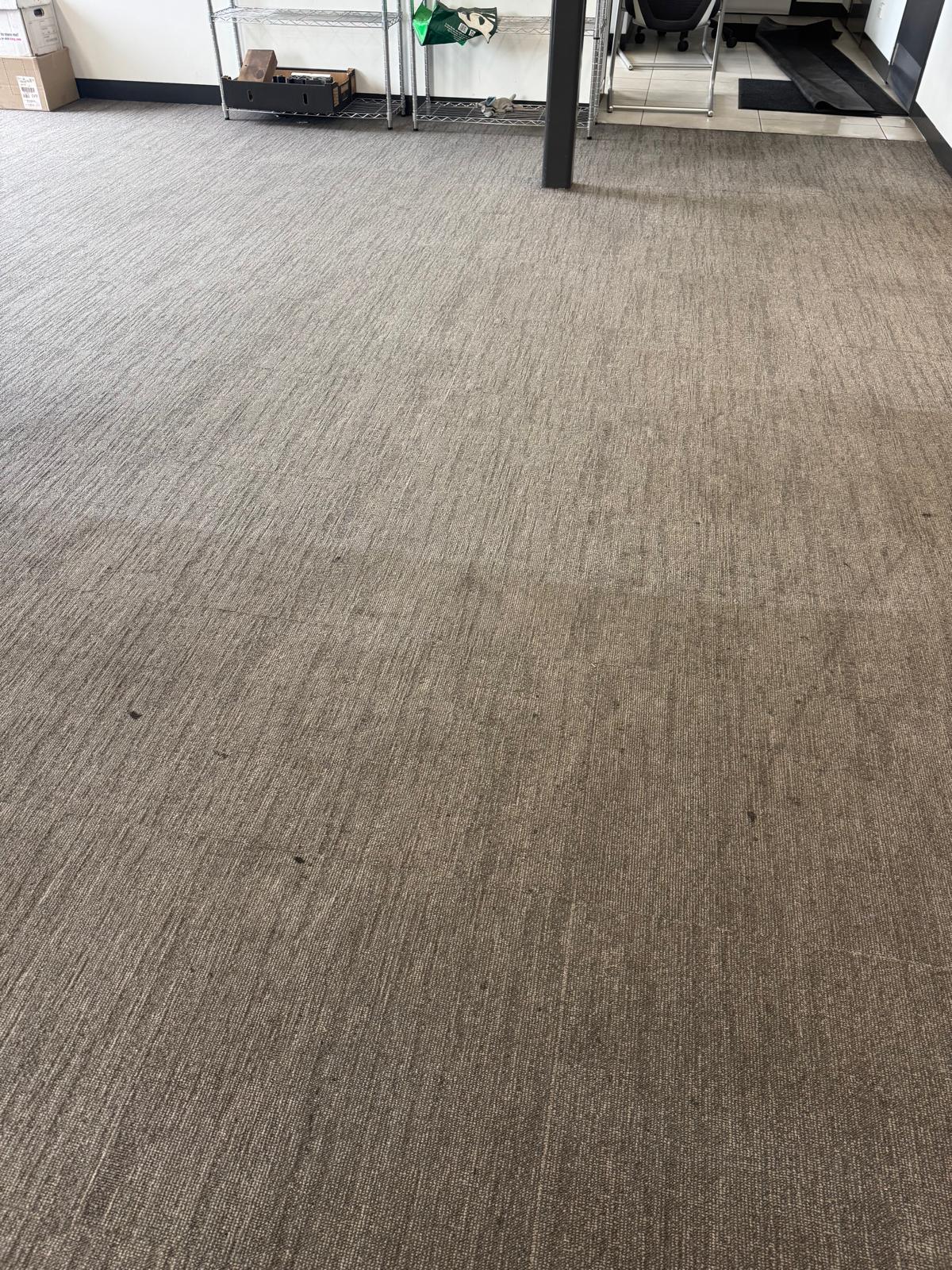 Fresh carpet finish after extraction cleaning