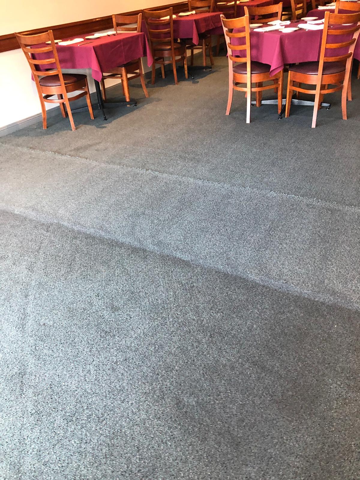 Cleaned high-traffic commercial carpet