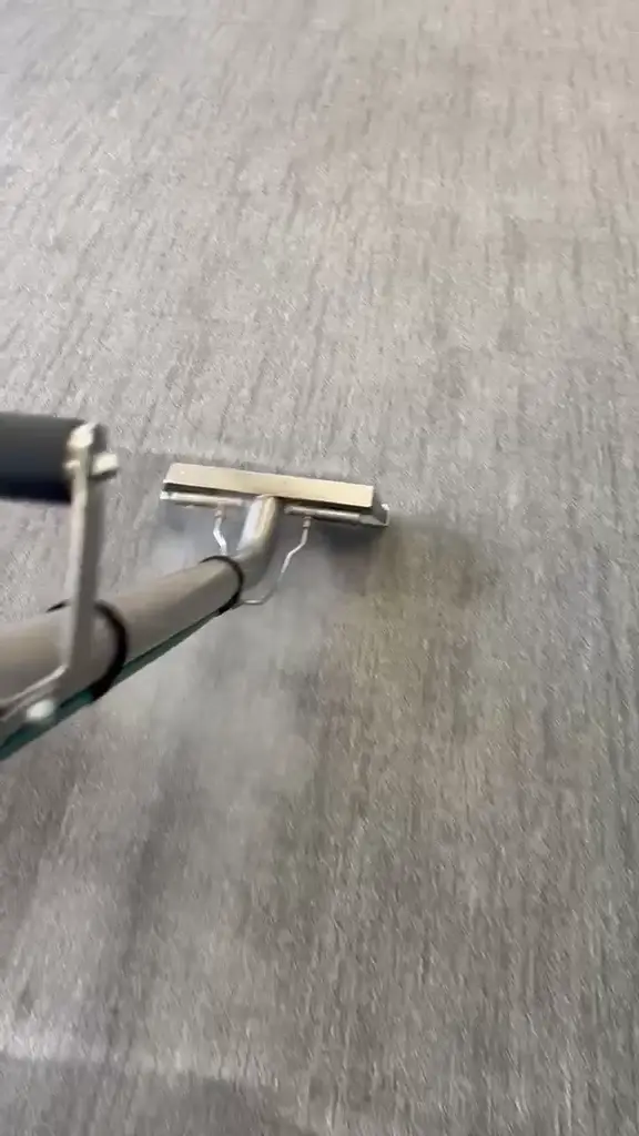 Video preview: Real carpet cleaning in action