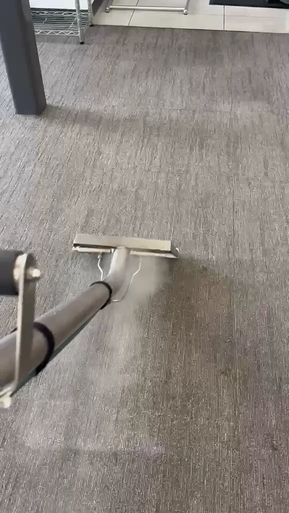 Video preview: Real carpet cleaning in action