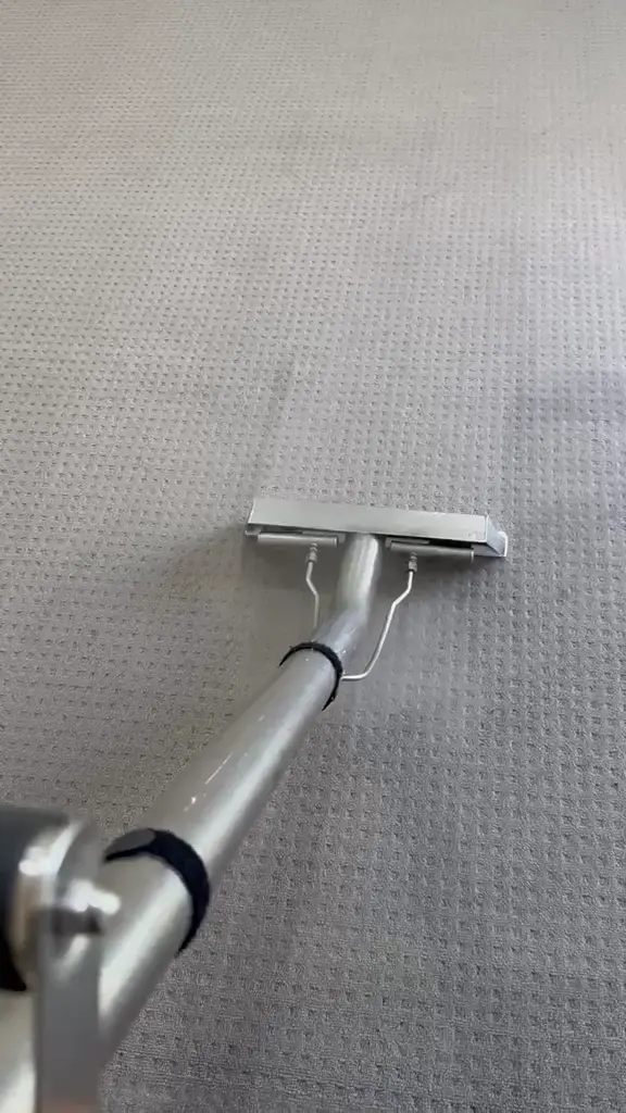 Video preview: Real carpet cleaning in action