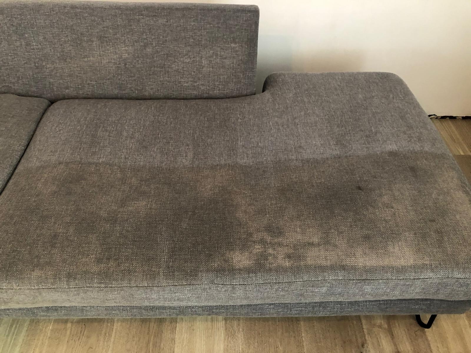 Freshly cleaned couch upholstery