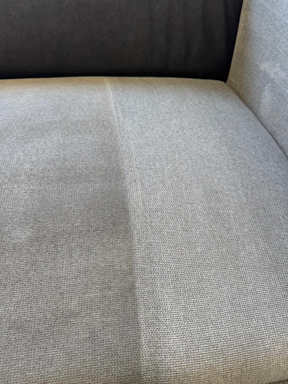 Freshly cleaned couch upholstery