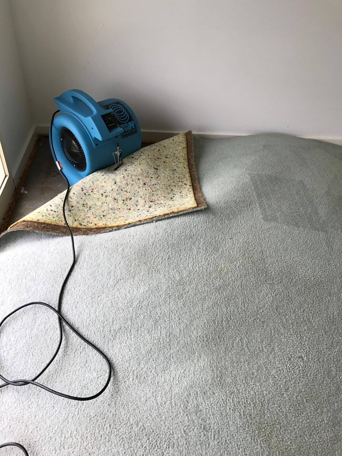 Real water damage drying equipment on carpet from a PCC job