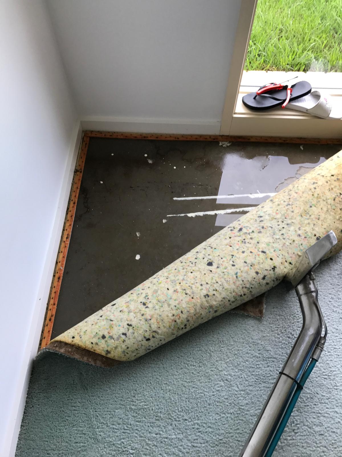 Real water-damaged carpet lifted for drying
