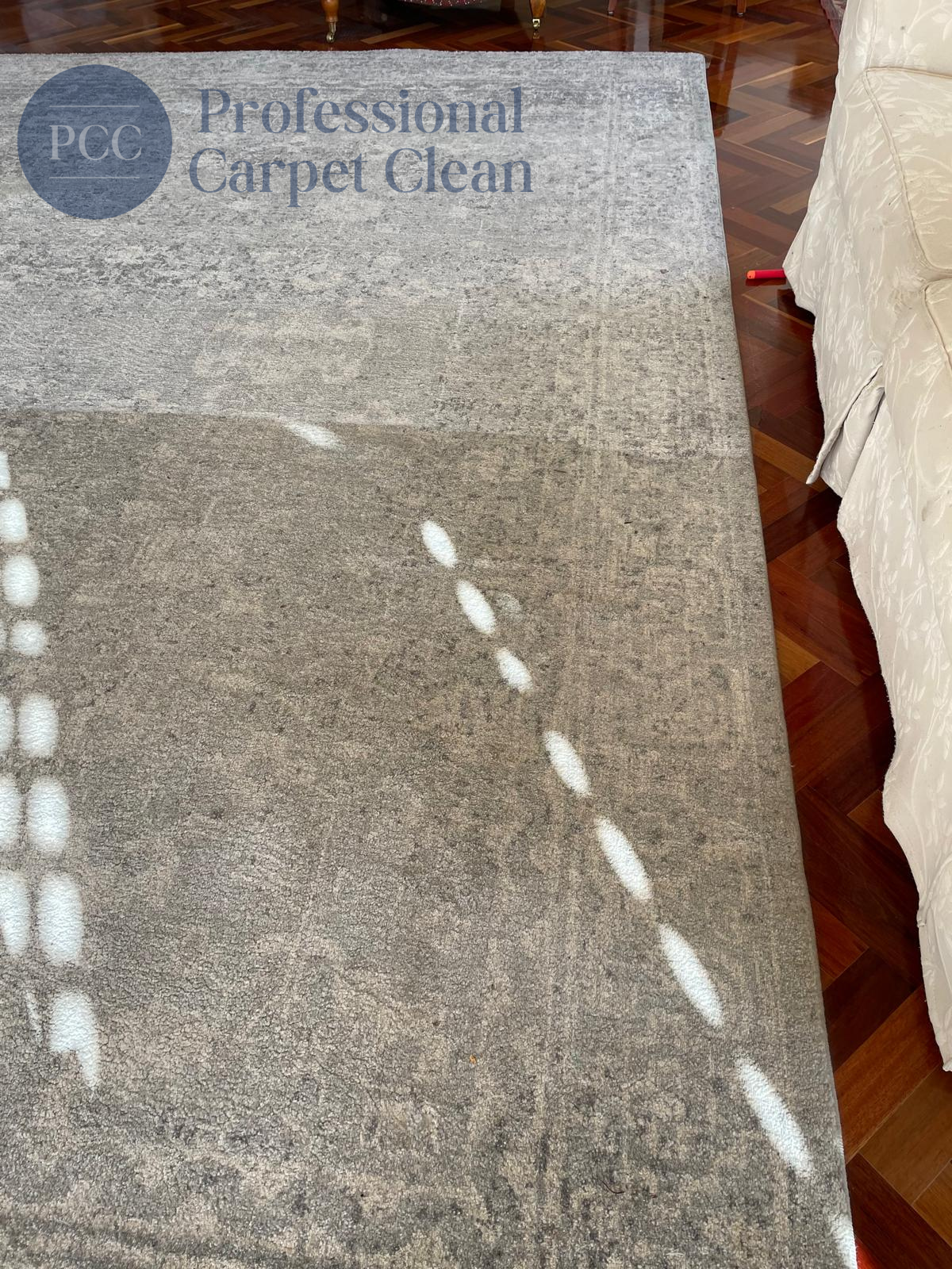 DIY carpet cleaning attempt with rental machine